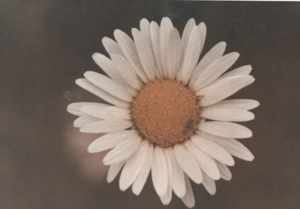 scan0020.tif